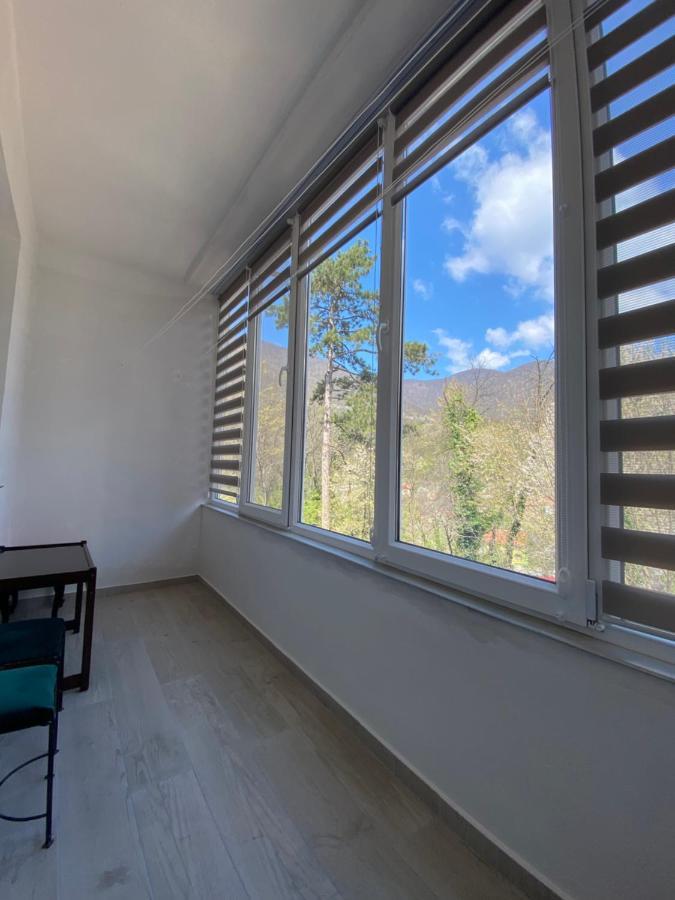 Linen Tree Apartment Băile Herculane المظهر الخارجي الصورة