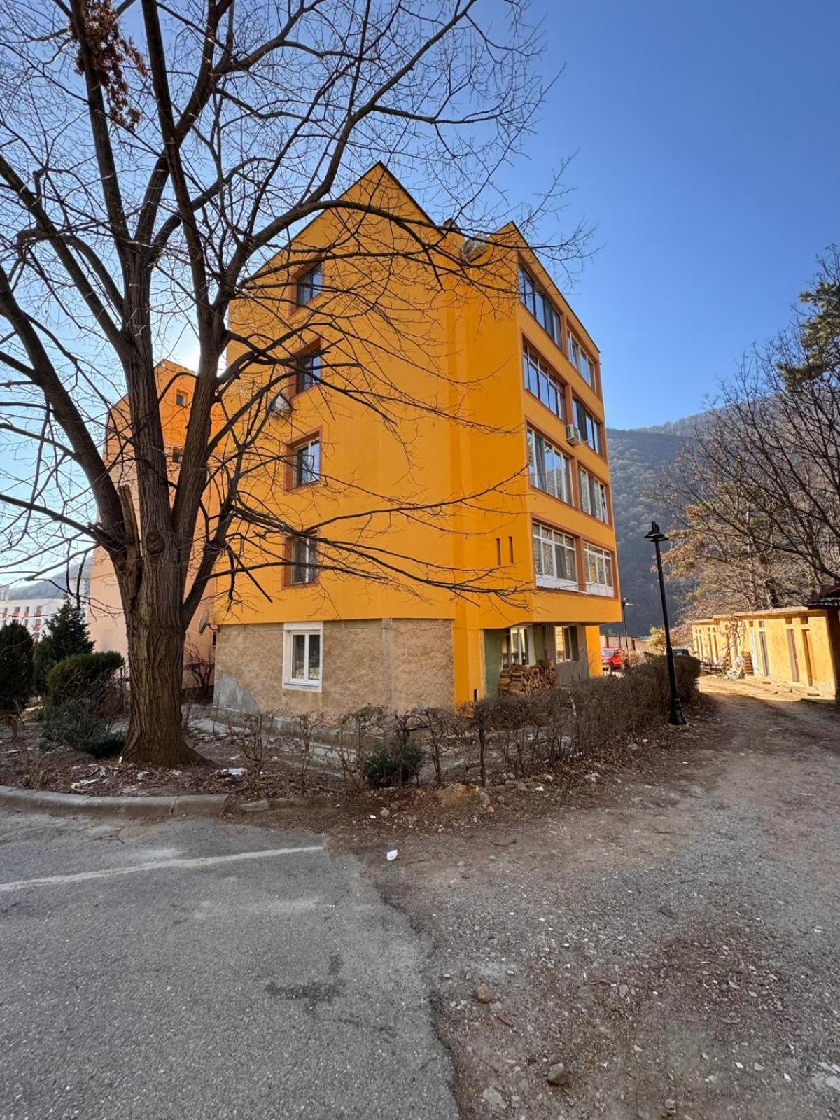 Linen Tree Apartment Băile Herculane المظهر الخارجي الصورة