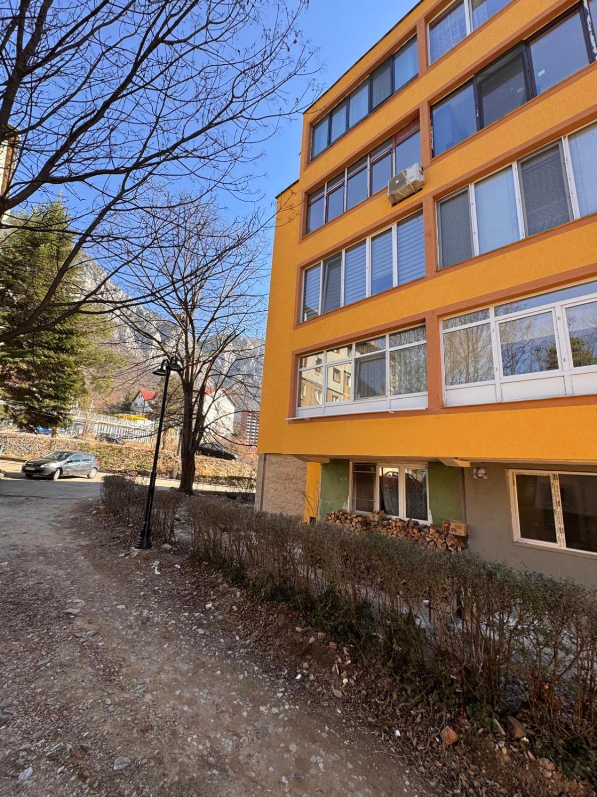 Linen Tree Apartment Băile Herculane المظهر الخارجي الصورة